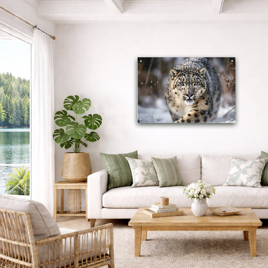 Snow Leopard