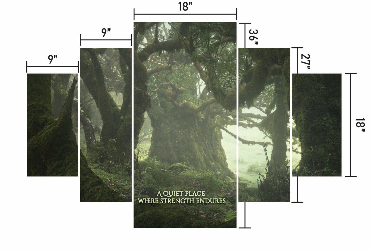 Among the Ancients w/ Quote