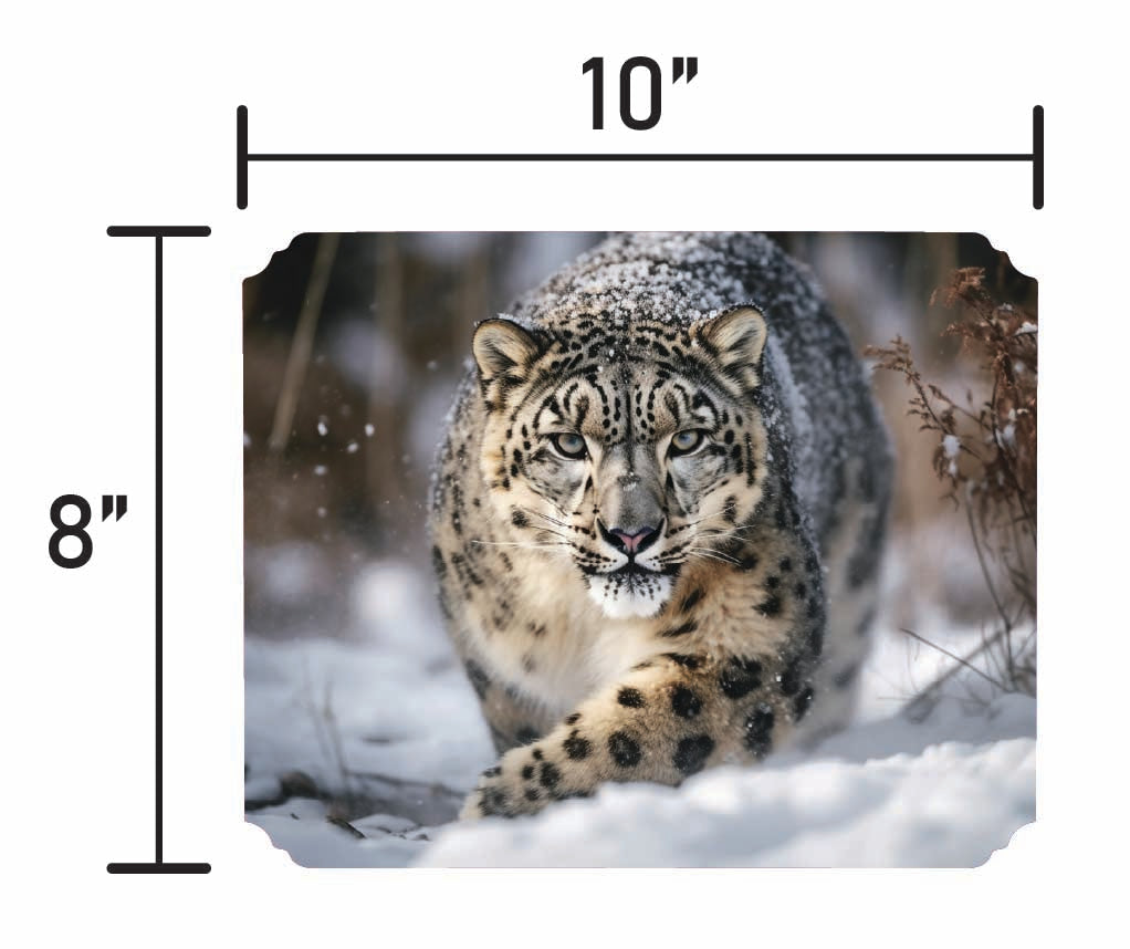 Snow Leopard - Smalls