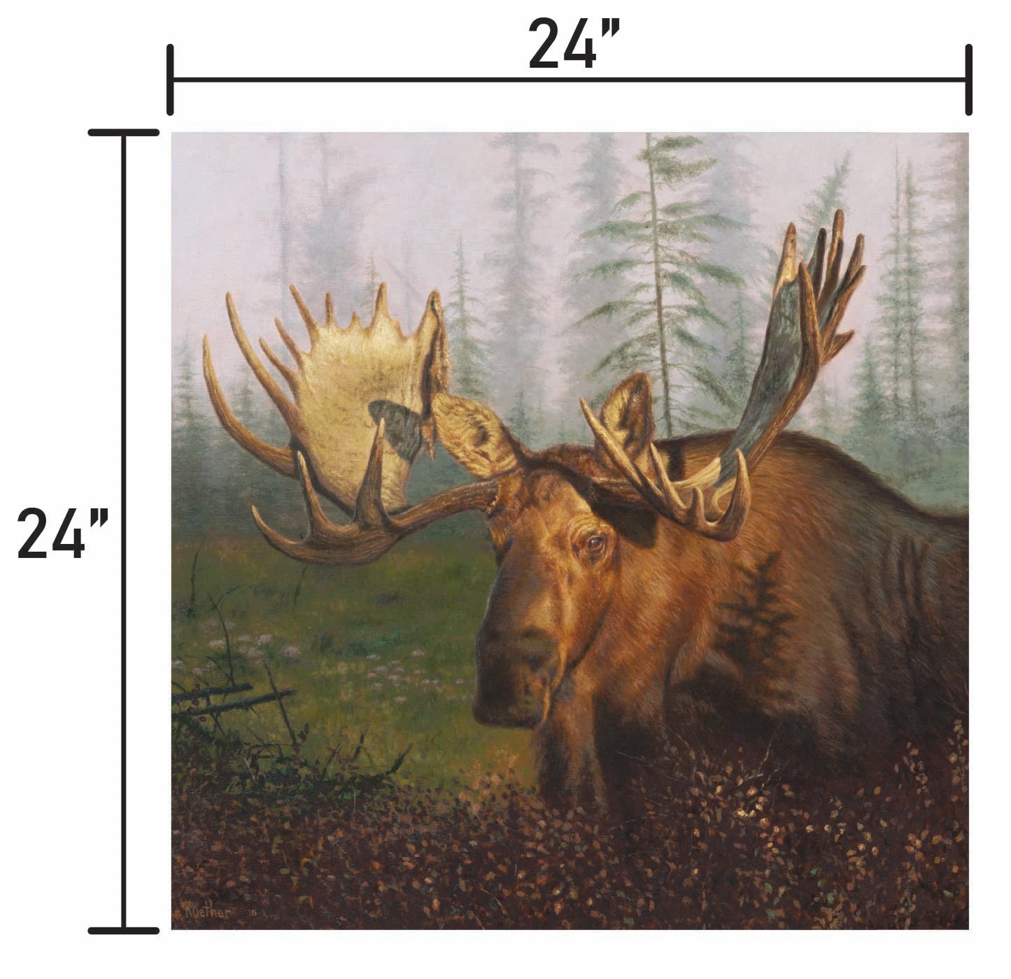 Early Morning Moose