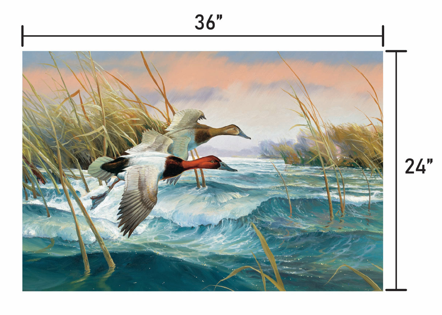 Wave Runners-Canvasbacks