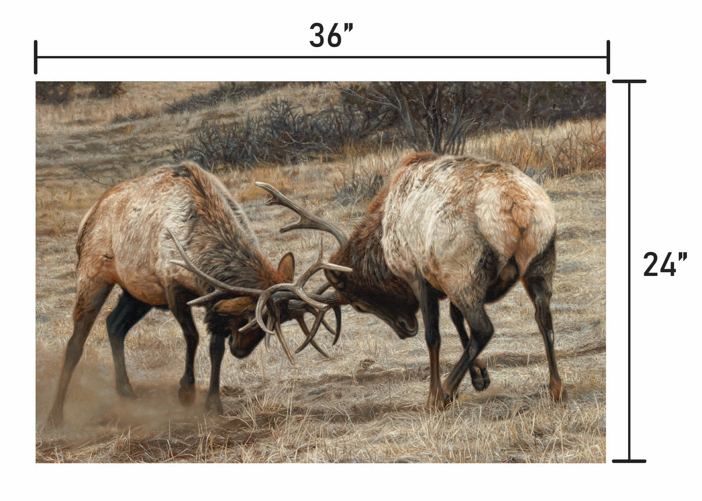 Anything for Love - Elk