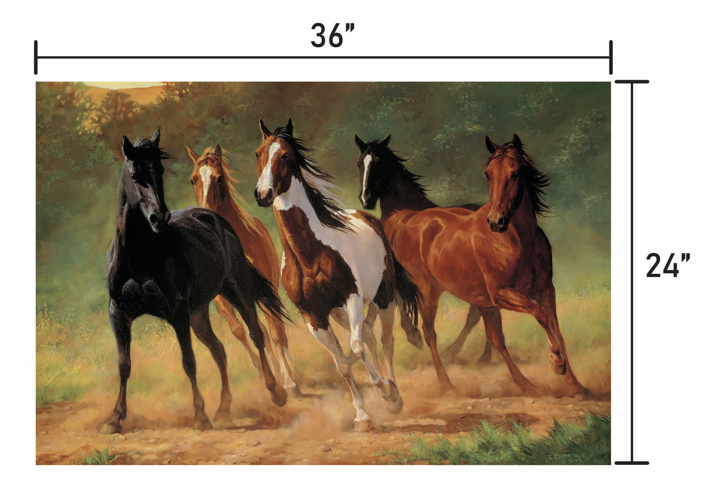 Home Run-Horses