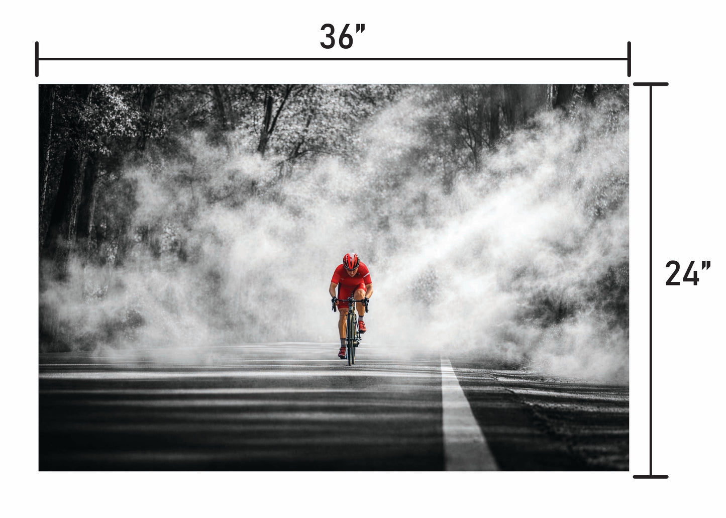 Through the Haze BW