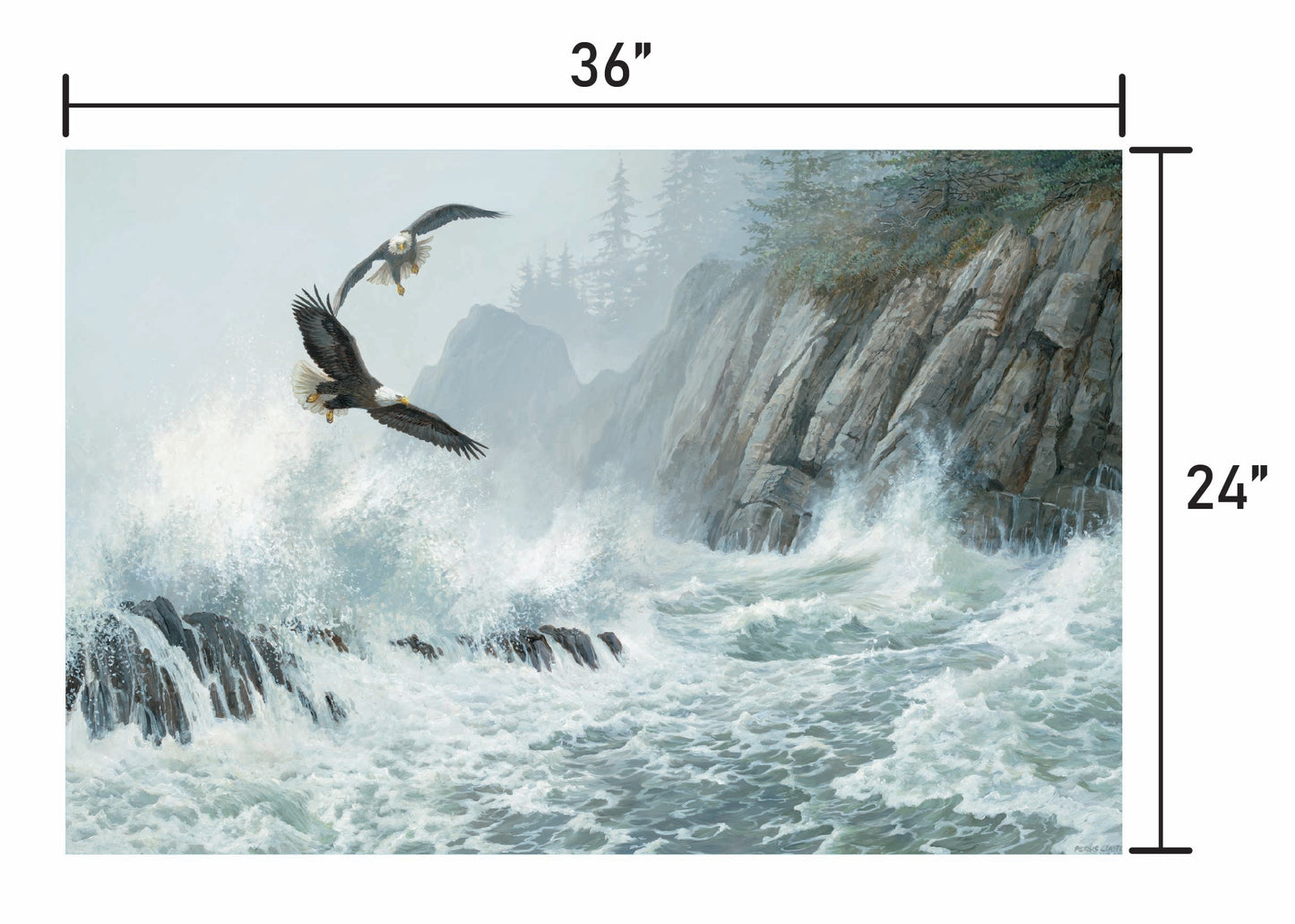 Storm Riders-Bald Eagles