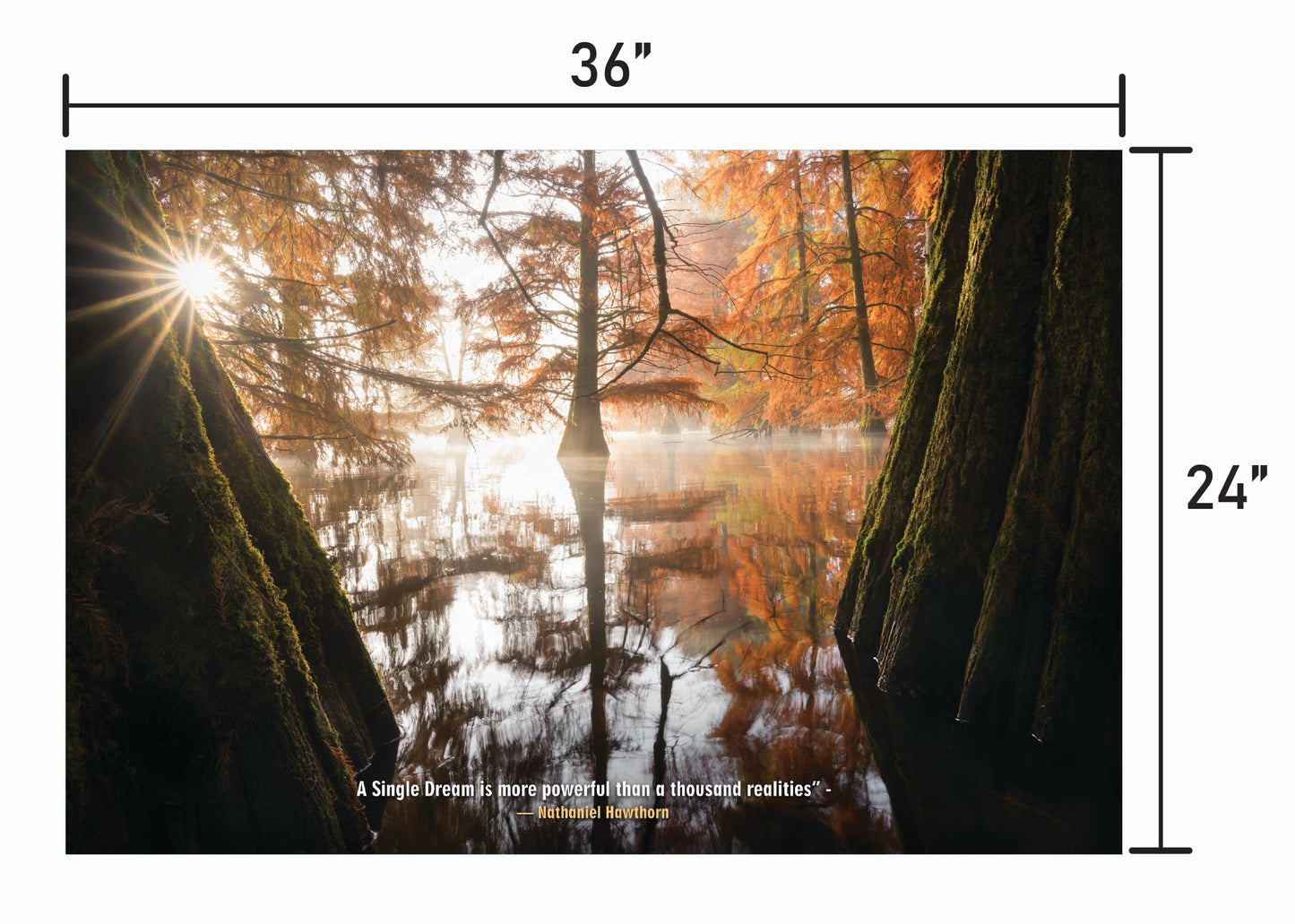 In Quiet Reflection w/ Quote