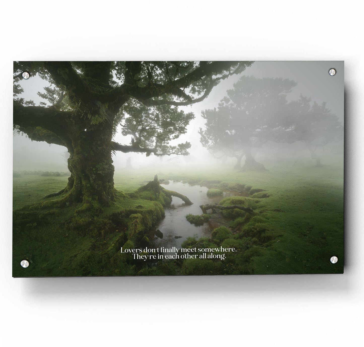 A Foggy Romance w/ Quote