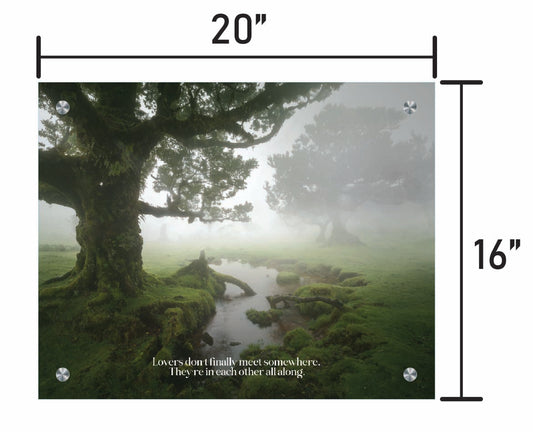 A Foggy Romance w/ Quote