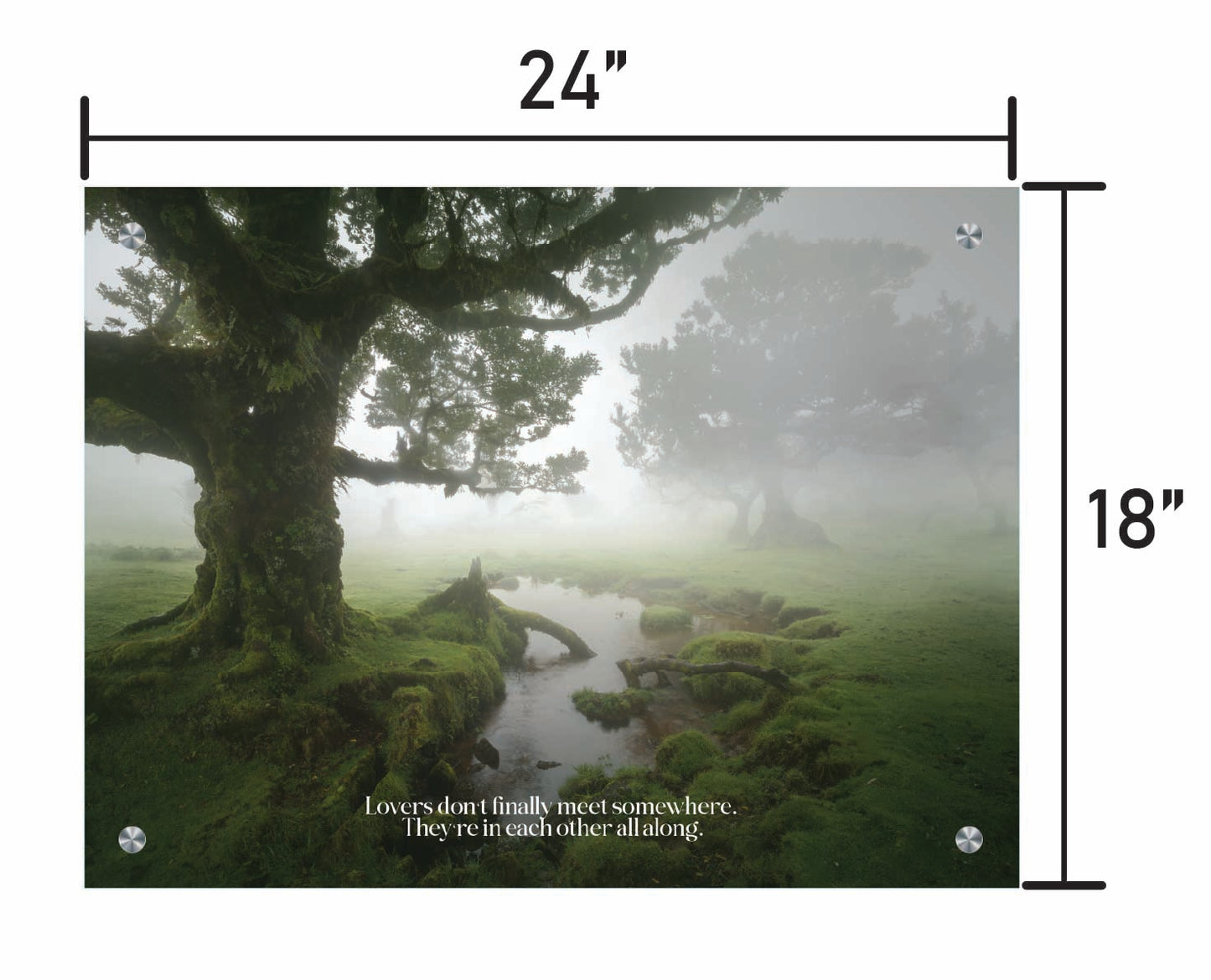 A Foggy Romance w/ Quote