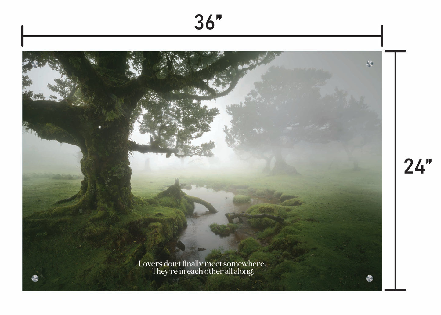 A Foggy Romance w/ Quote