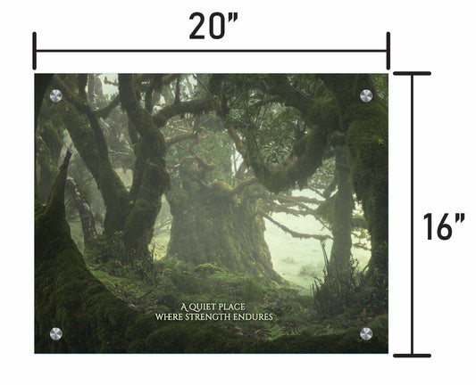 Among the Ancients w/ Quote