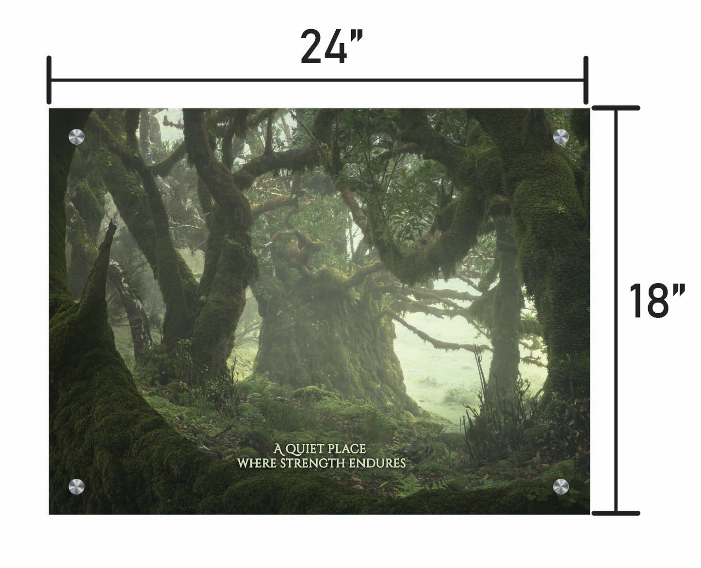 Among the Ancients w/ Quote