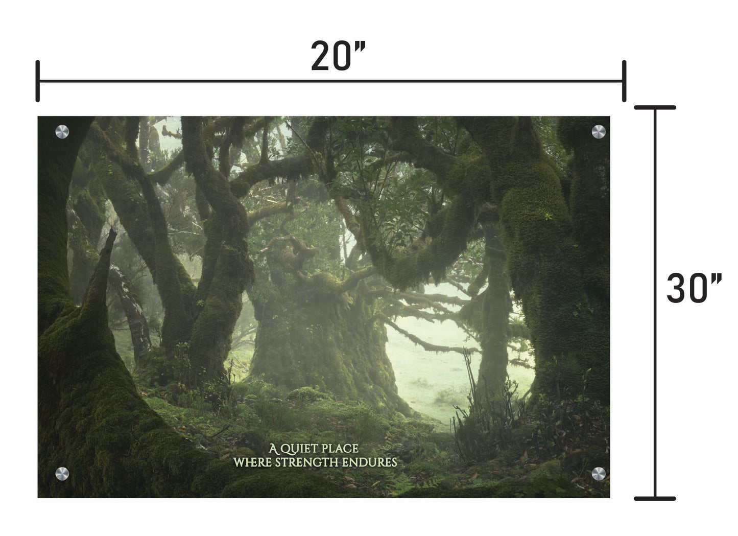 Among the Ancients w/ Quote