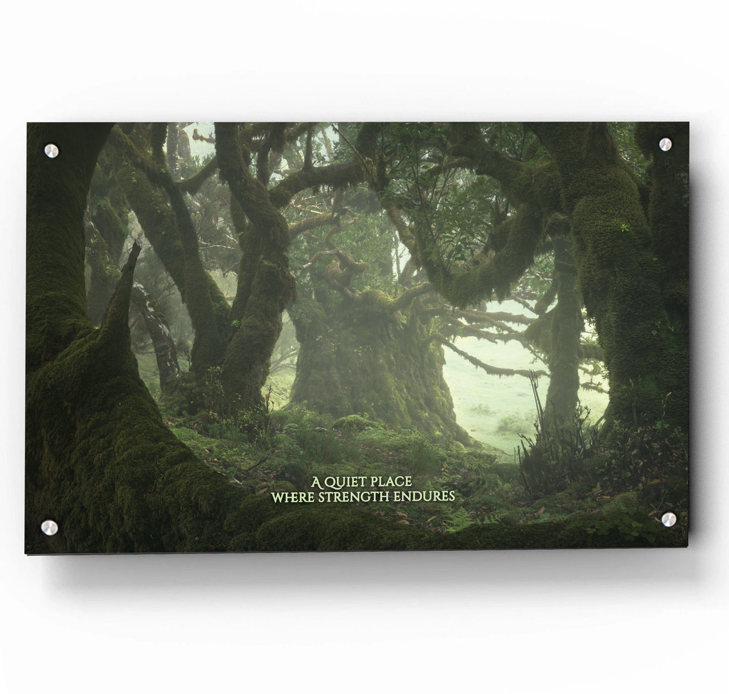 Among the Ancients w/ Quote