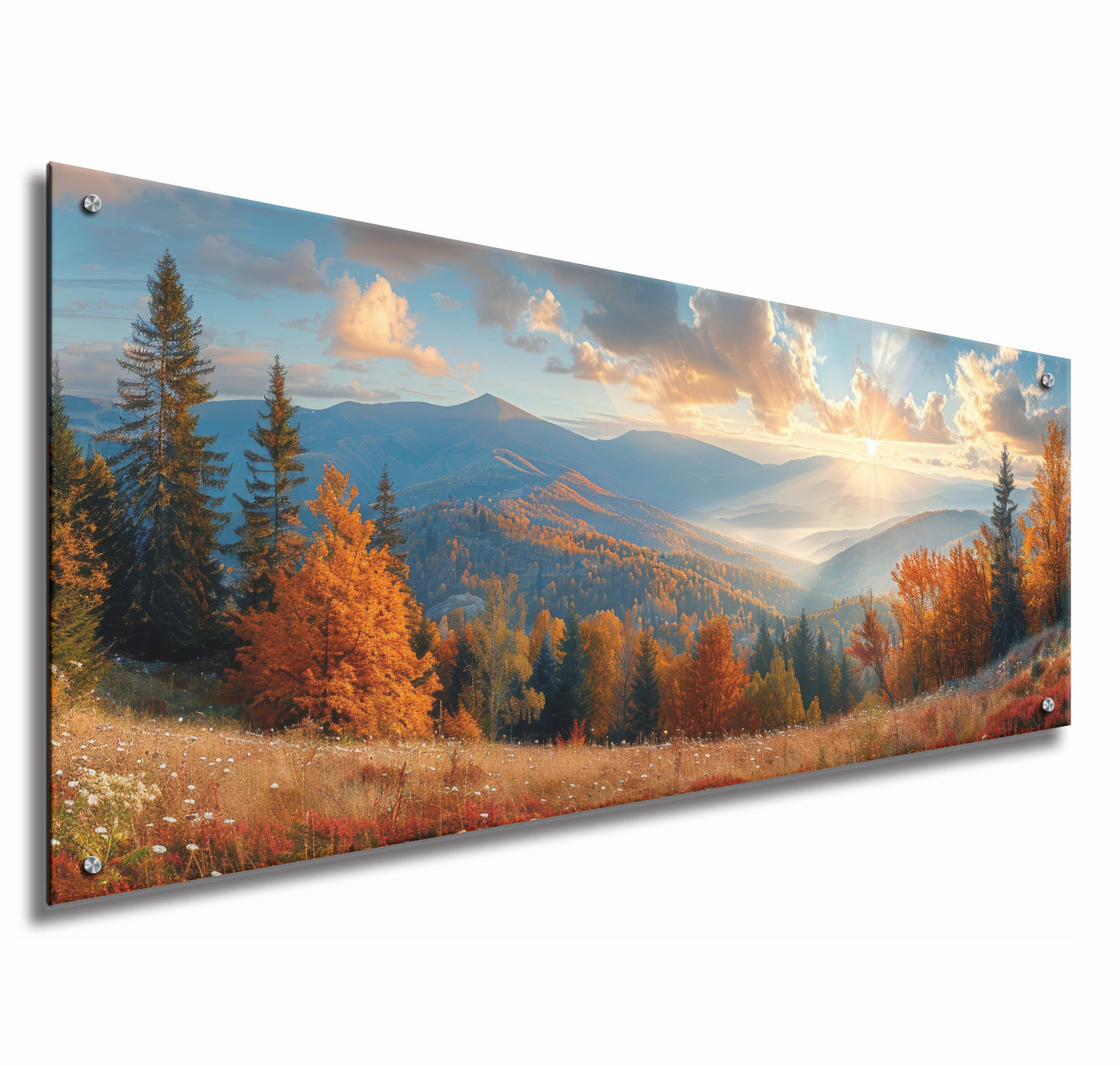 Autumn Forest Landscape