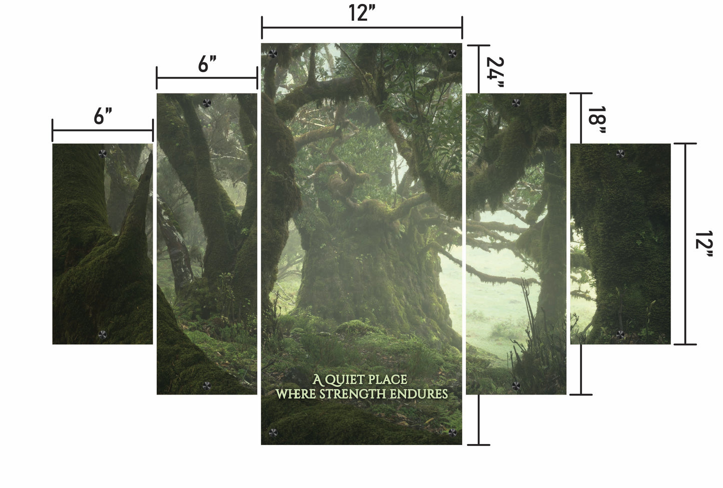 Among the Ancients w/ Quote