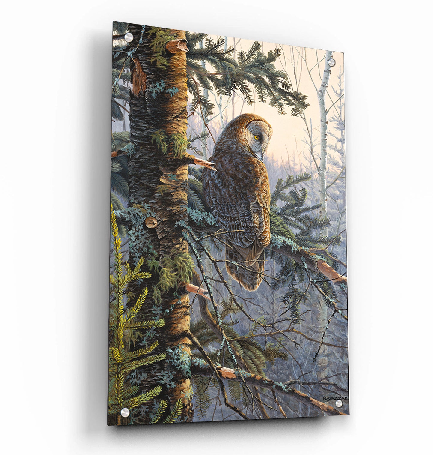Boreal Twilight