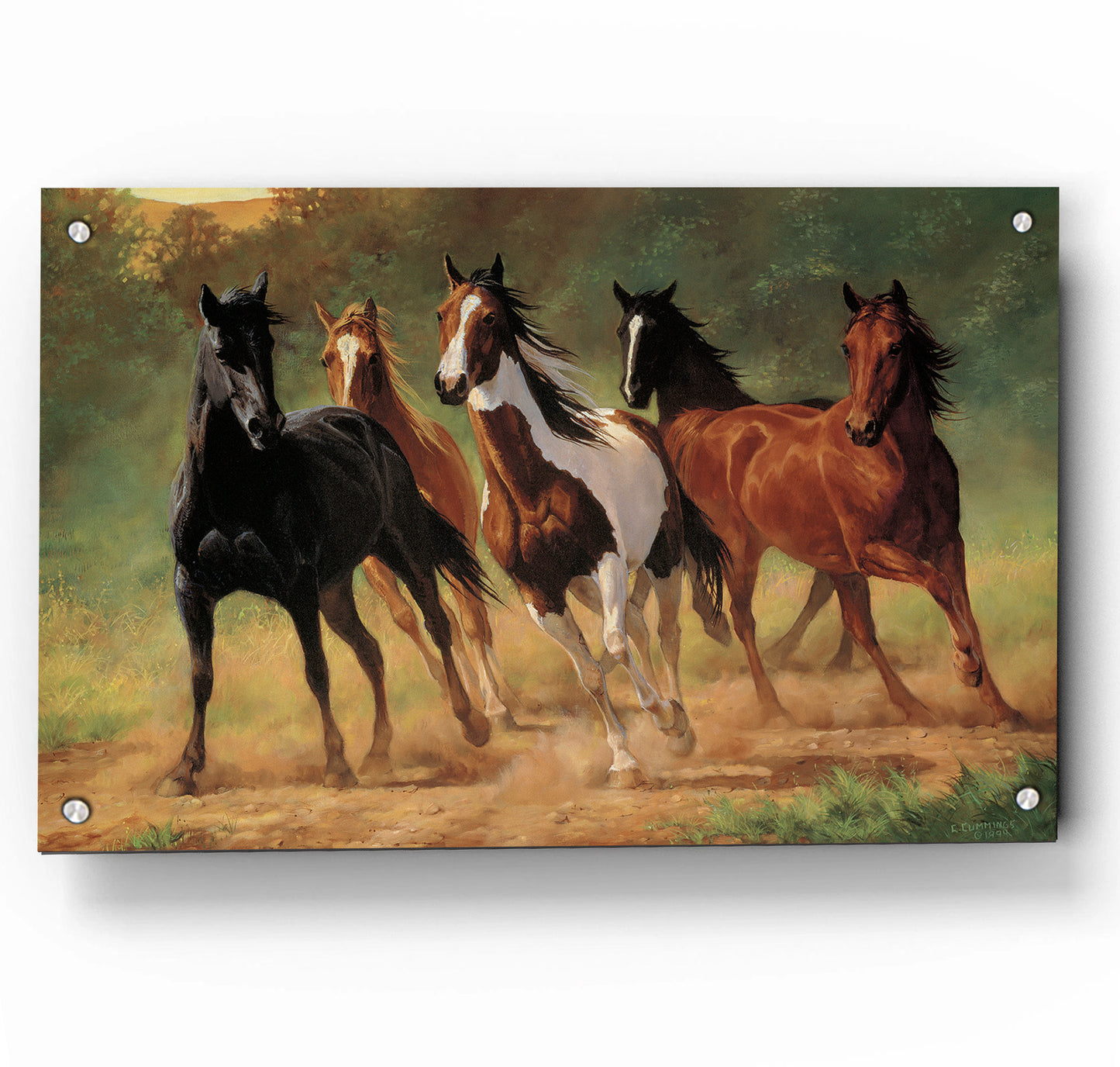Home Run-Horses