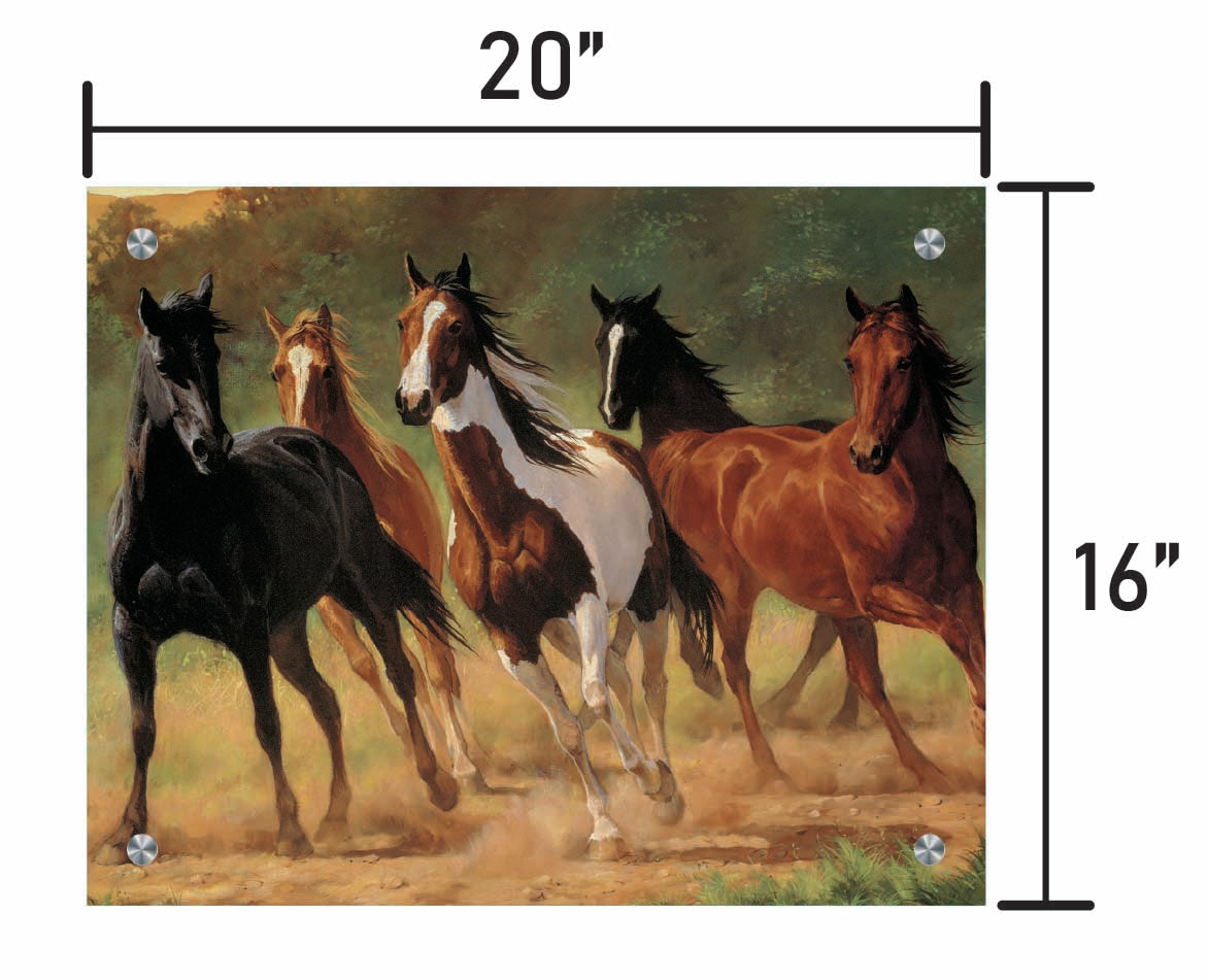 Home Run-Horses