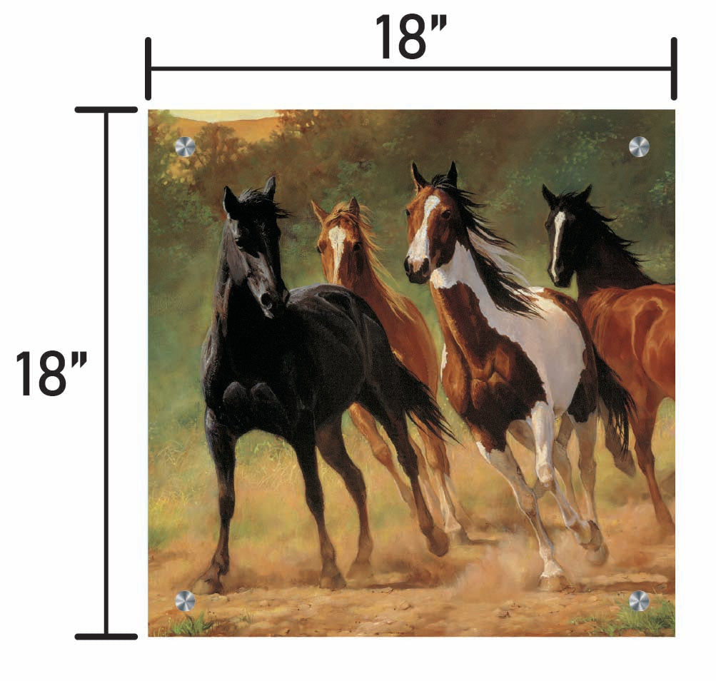 Home Run-Horses