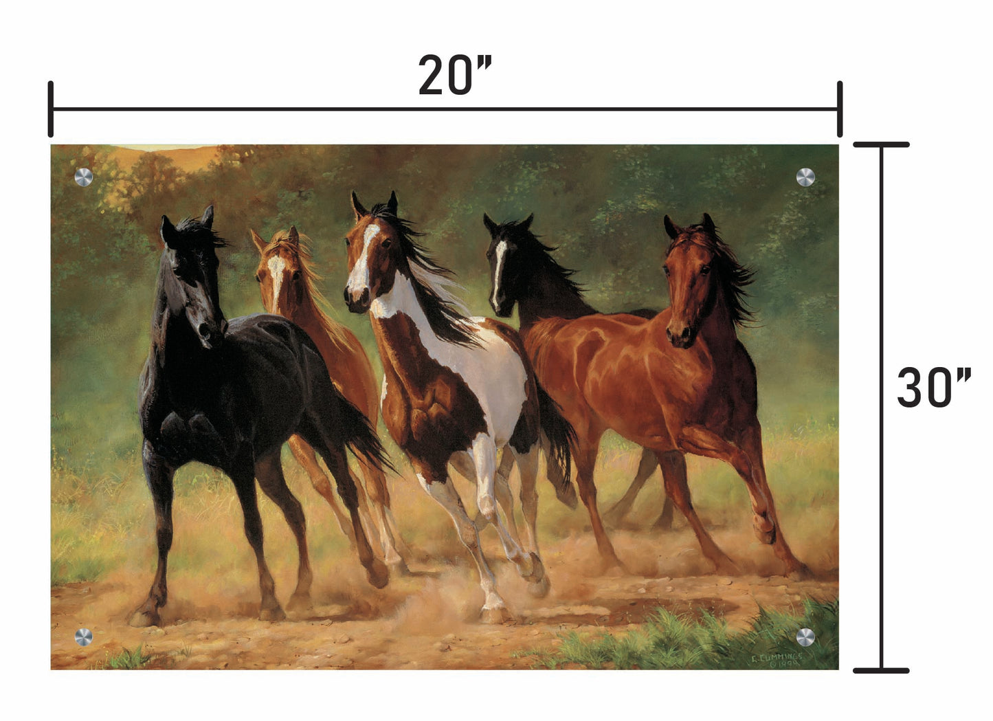 Home Run-Horses