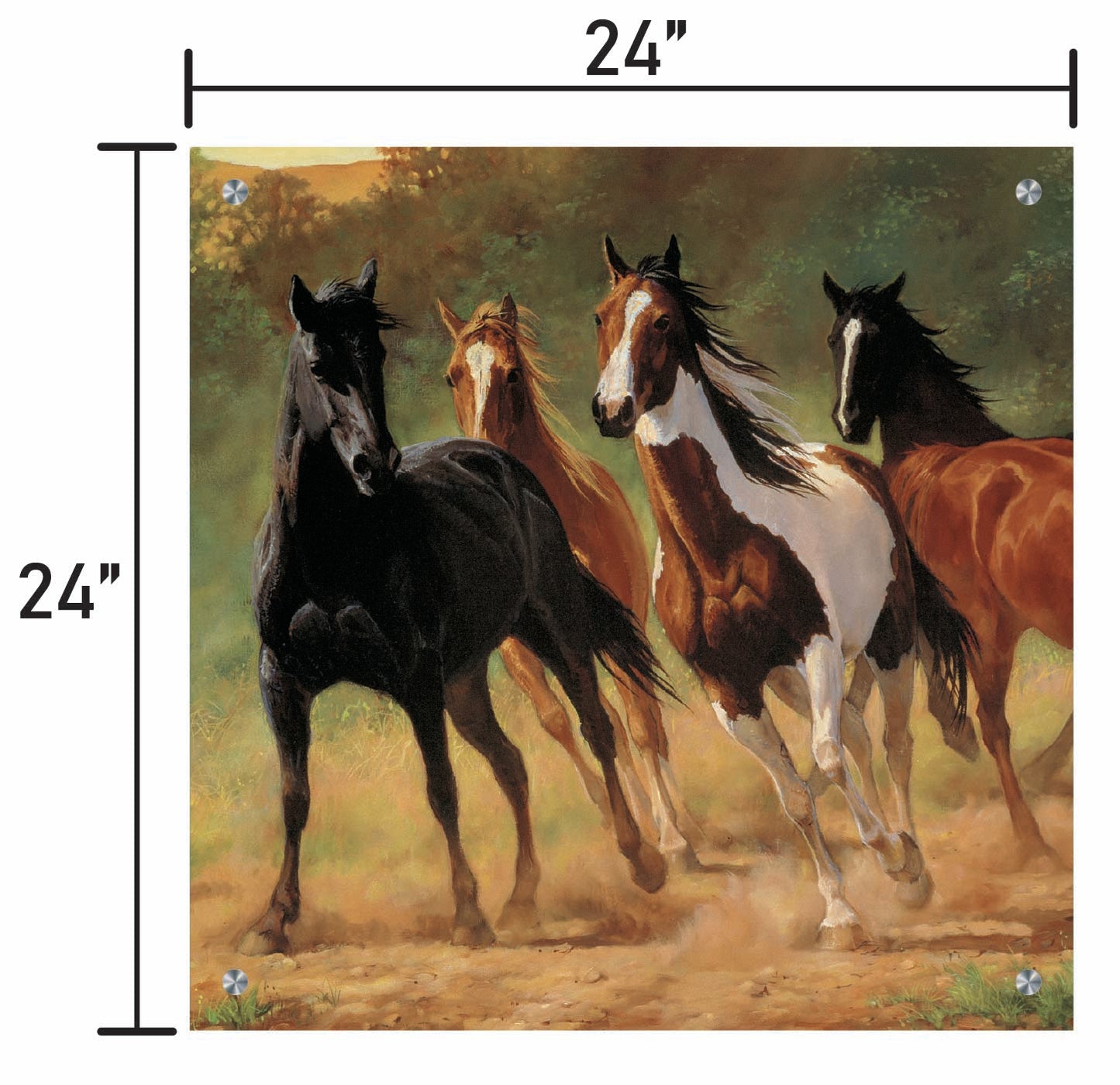 Home Run-Horses