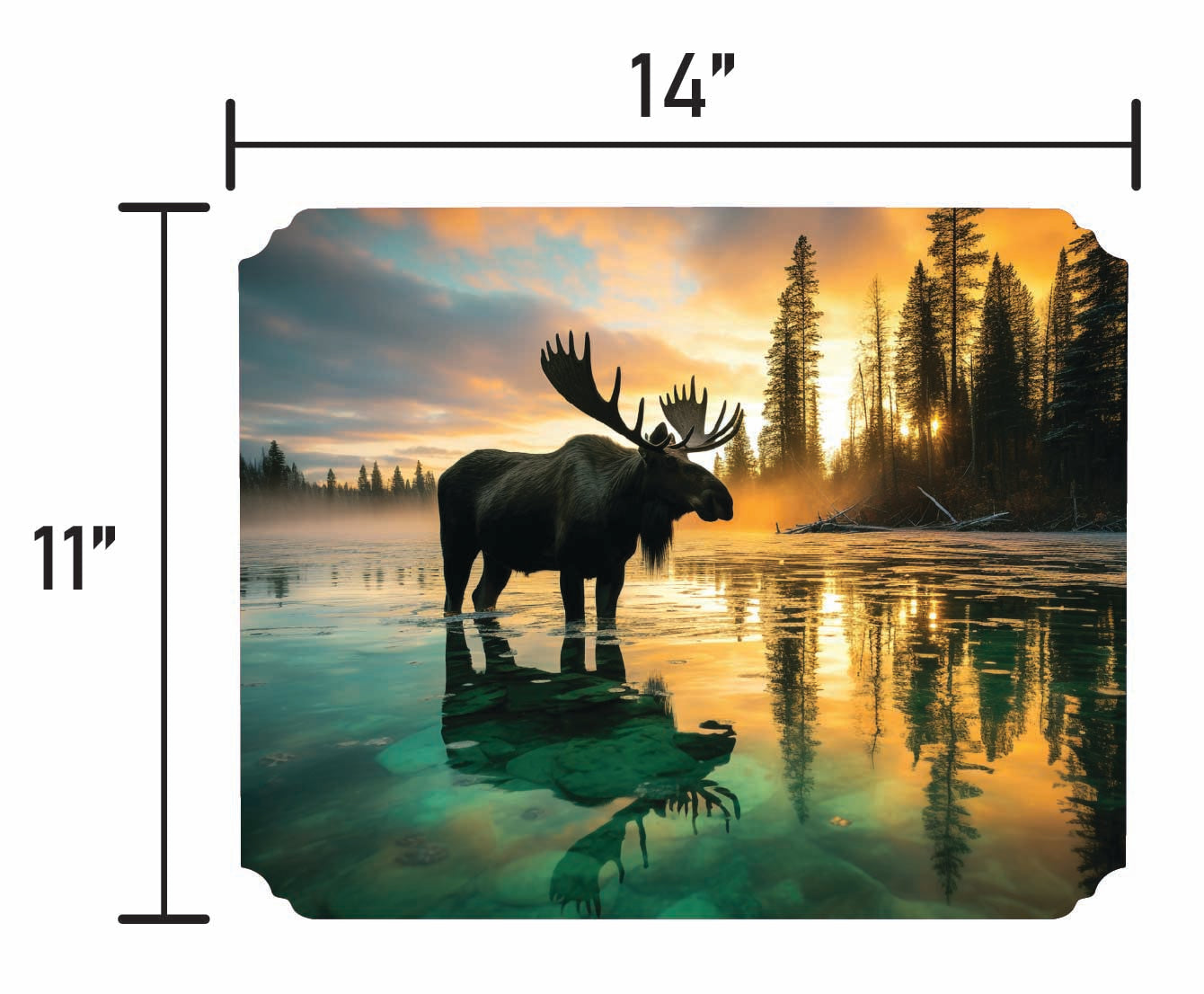 Canadian Moose - Smalls