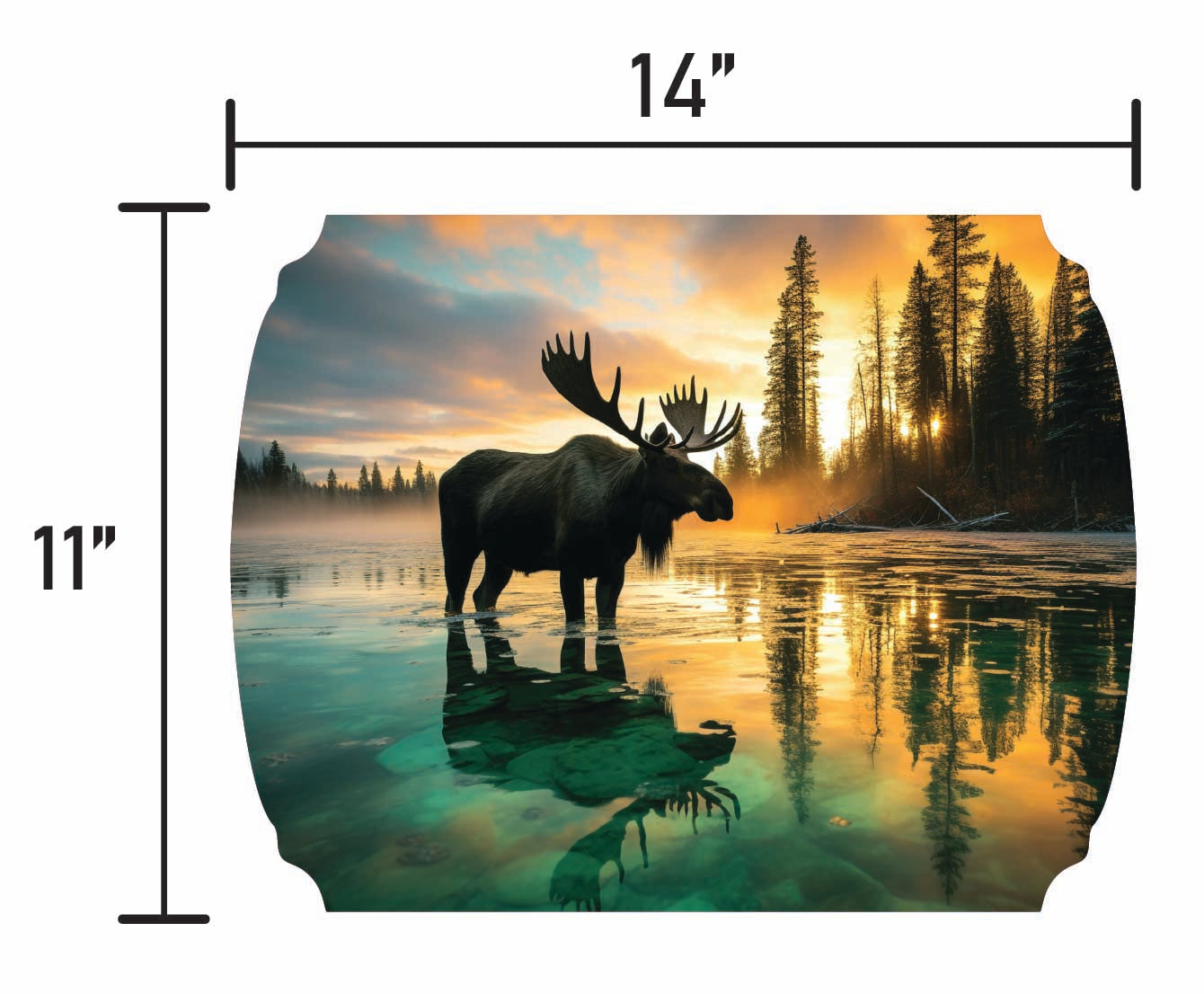 Canadian Moose - Smalls