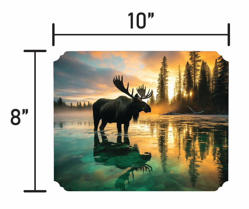 Canadian Moose - Smalls