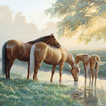 Persis Clayton Weirs