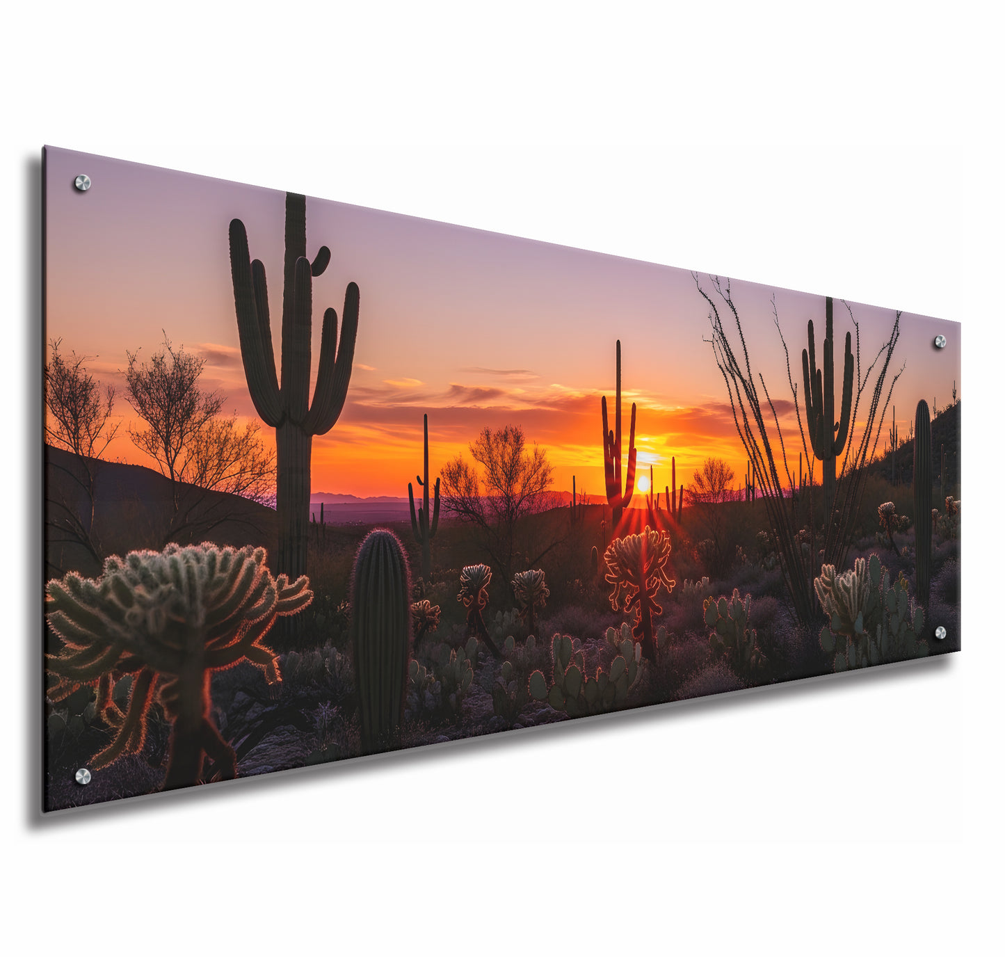 Desert Sunset