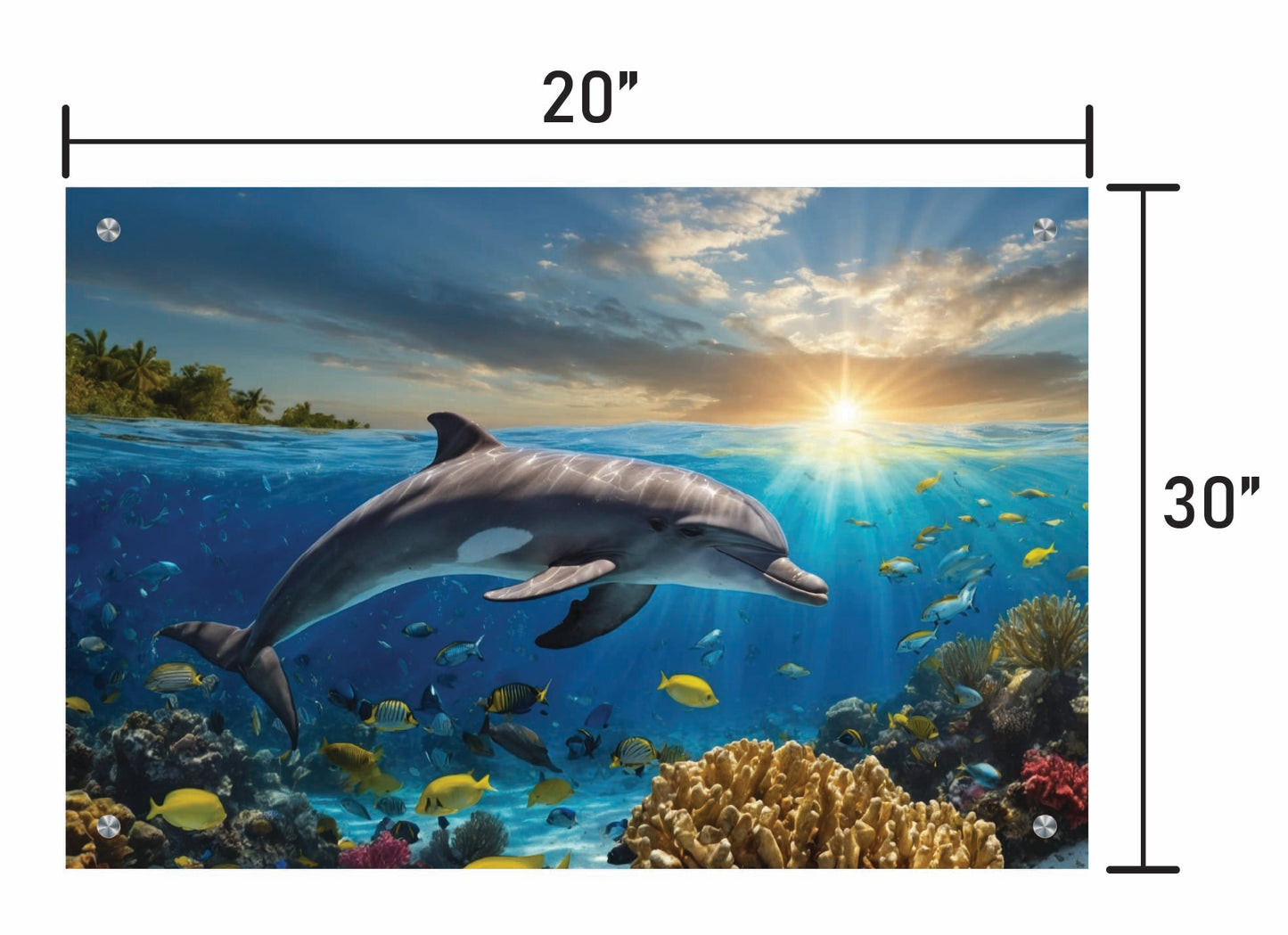 Dolphin Swimming in Coral