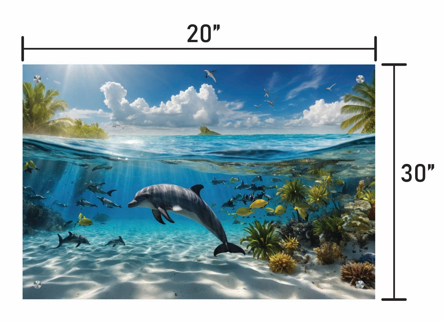 Dance of the Dolphin