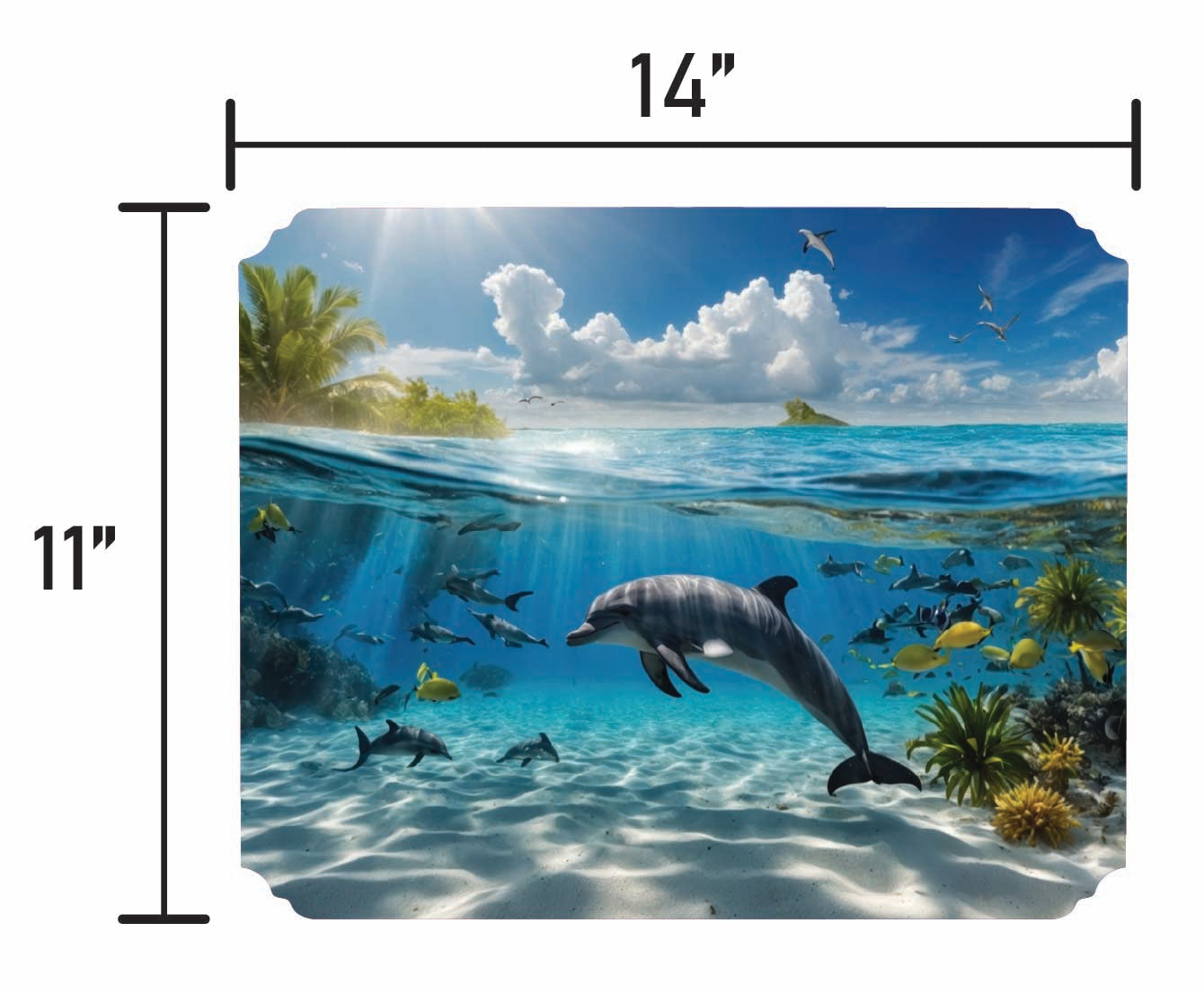 Dolphin - Smalls