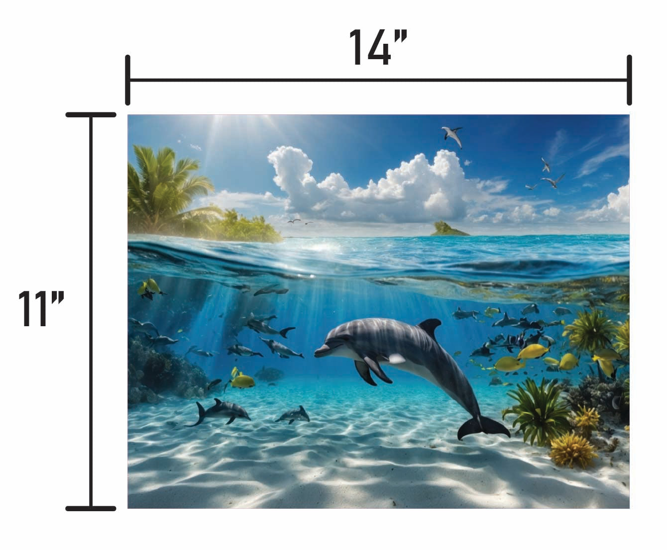 Dolphin - Smalls