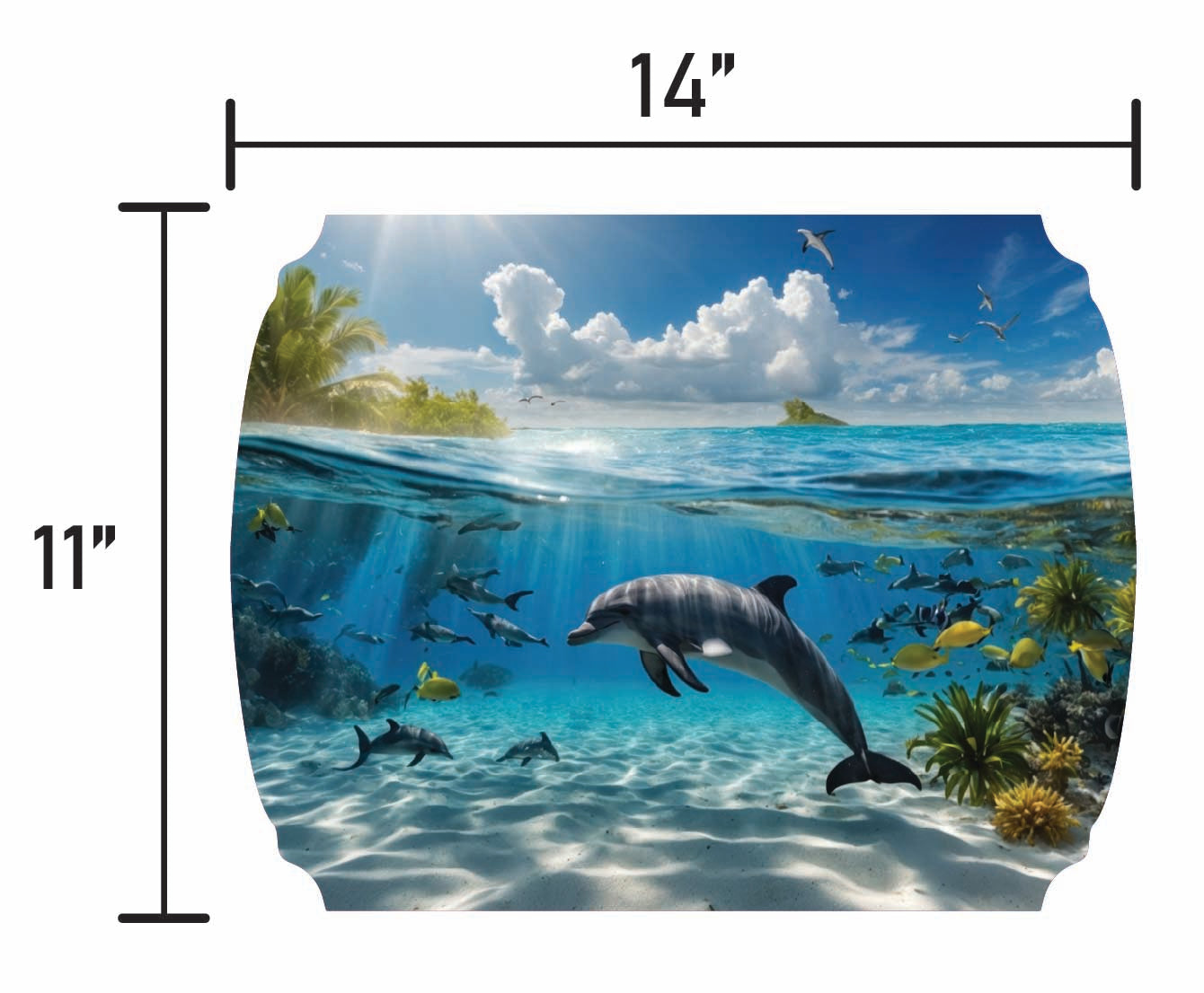 Dolphin - Smalls