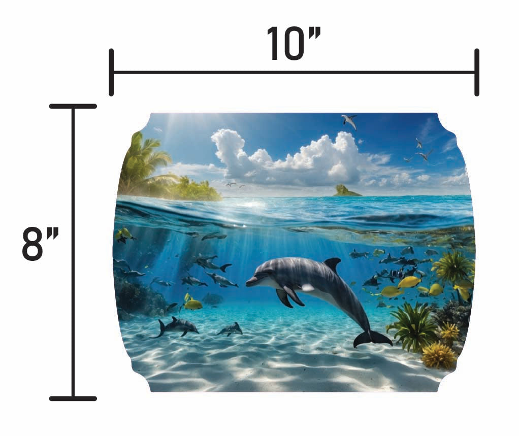 Dolphin - Smalls
