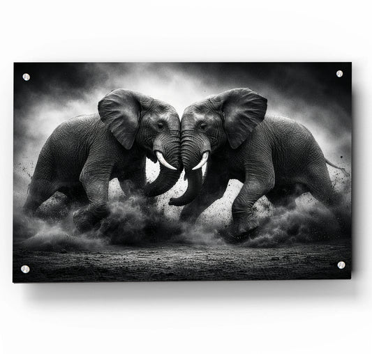 B&W Elephant