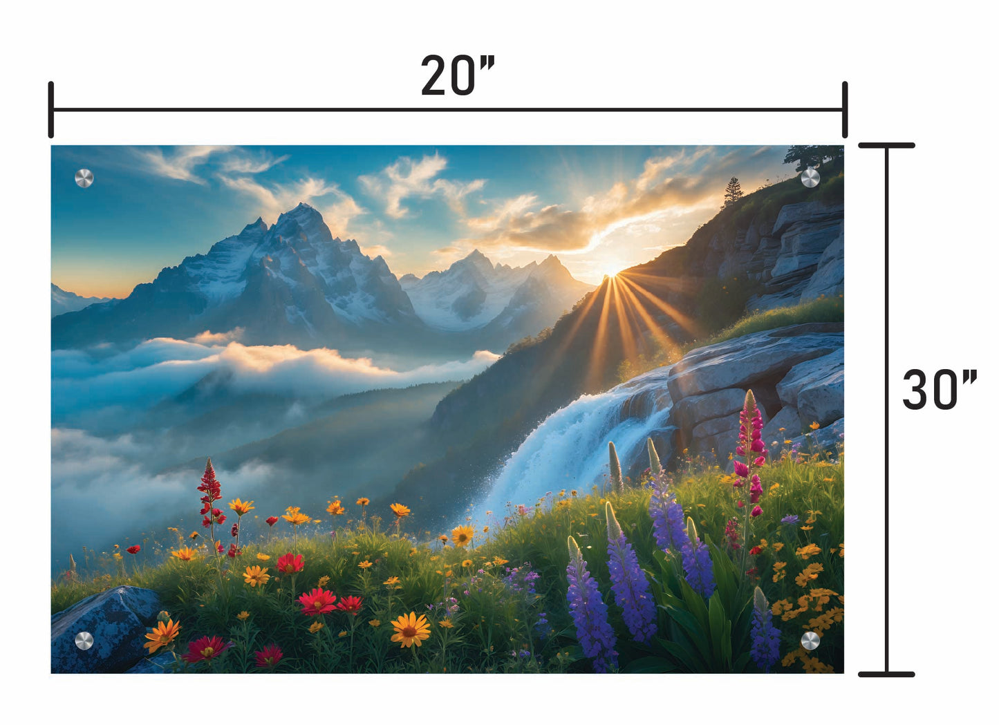 Flowers and Mountains