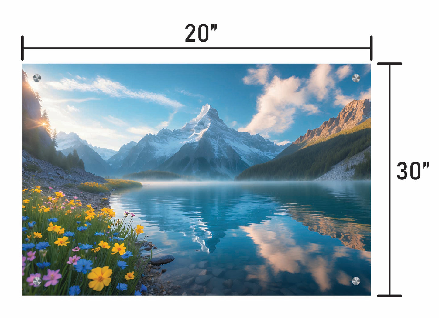 Wildflowers and Mountains