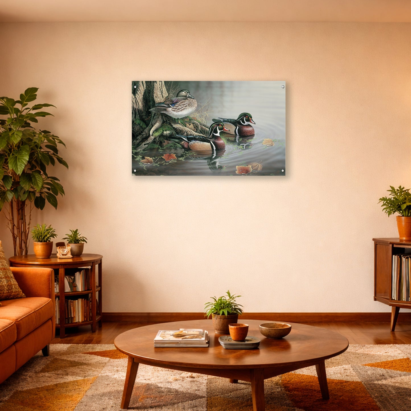 Backwater Wood Ducks