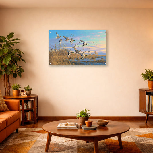 Dropping in Mallards