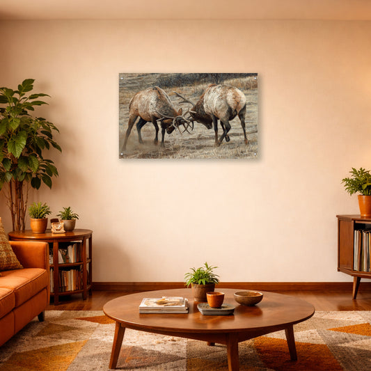 Anything for Love - Elk