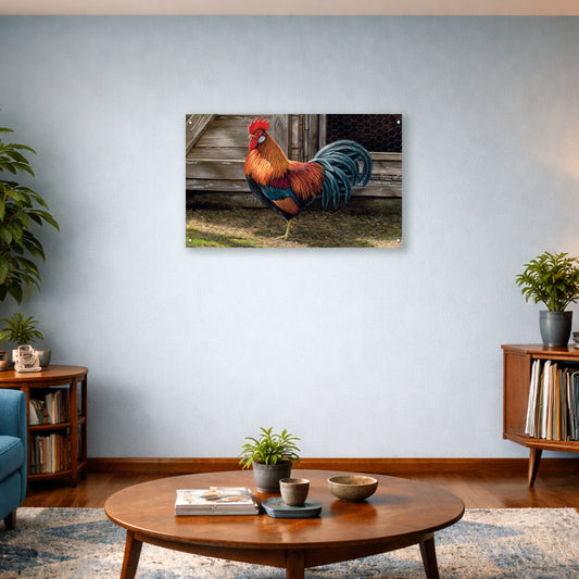 Light Brown Chicken Rooster