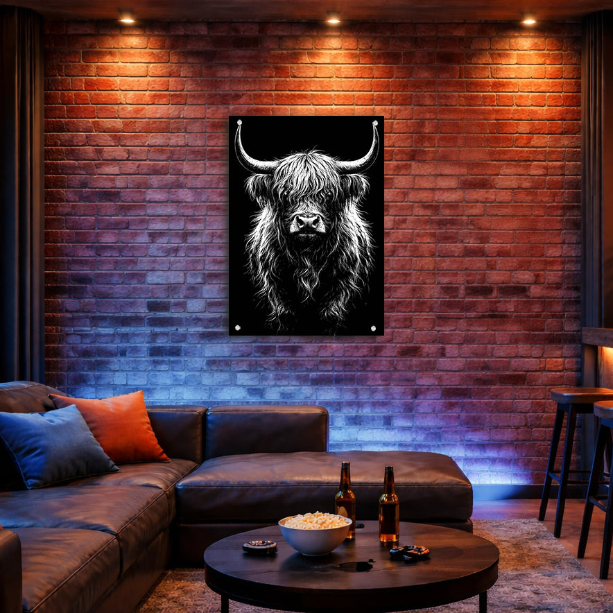 B&W Higlinder Cow 3