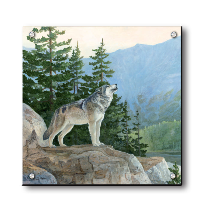 The Knife_s Edge - Gray Wolf