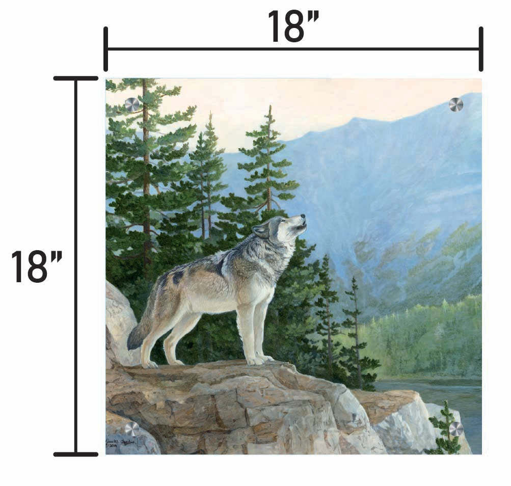 The Knife_s Edge - Gray Wolf