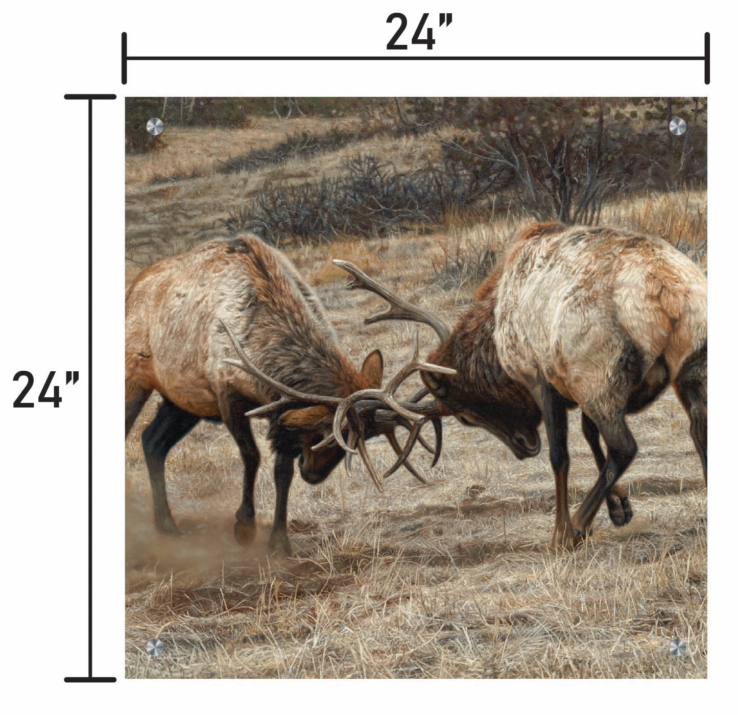 Anything for Love - Elk