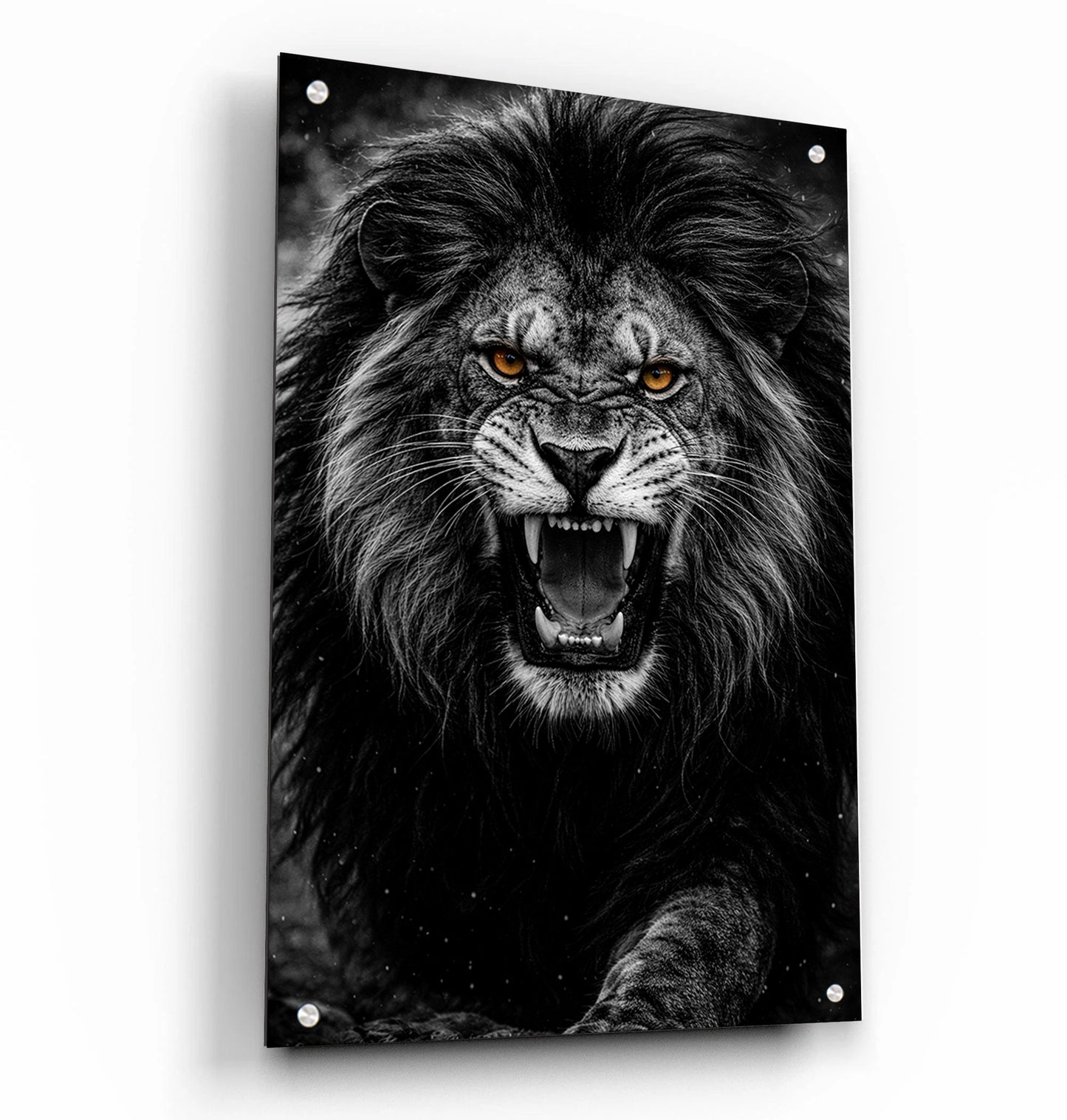 B&W Lion