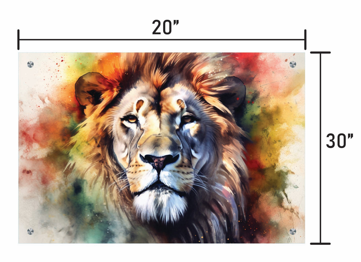 Lion Water Color
